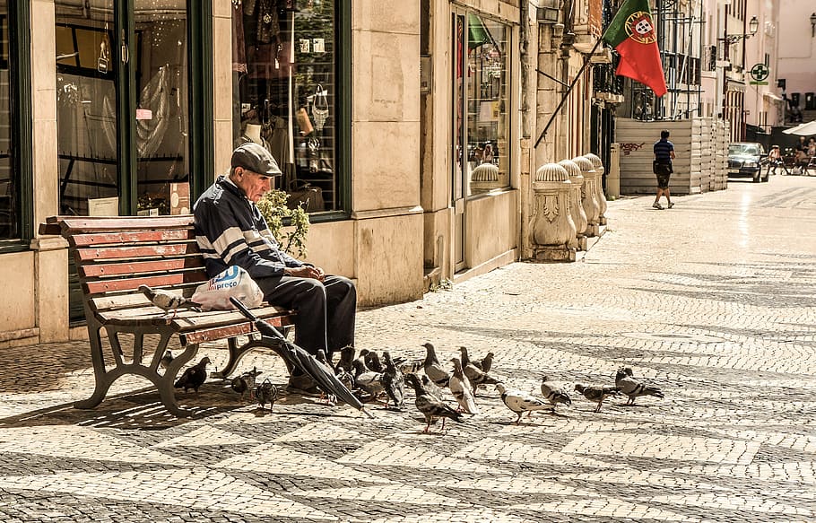 man sitting at bench surrounded by pigeons, old, elderly, senior HD wallpaper