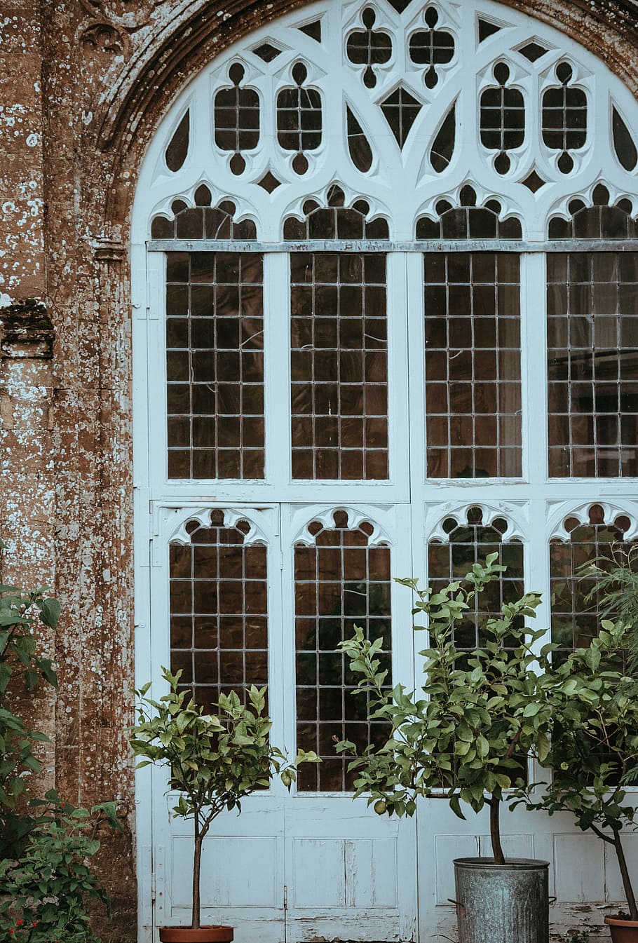 Forde Abbey, green plant near window during daytime, architecture HD wallpaper