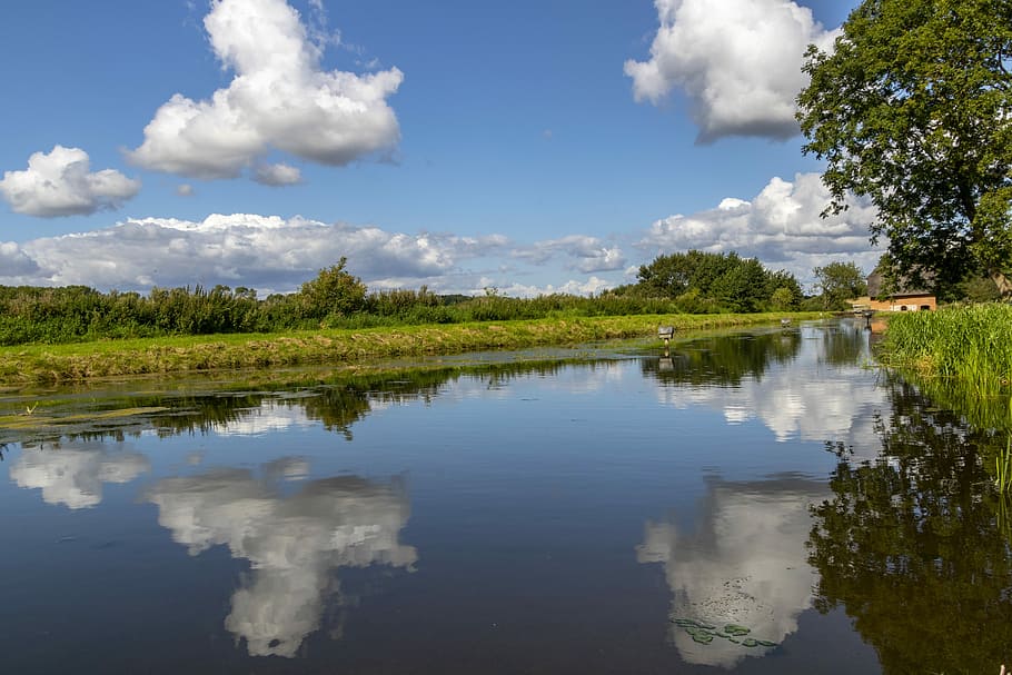 pond, water, clouds, sky, reflection, summer, cloud - sky, lake HD wallpaper