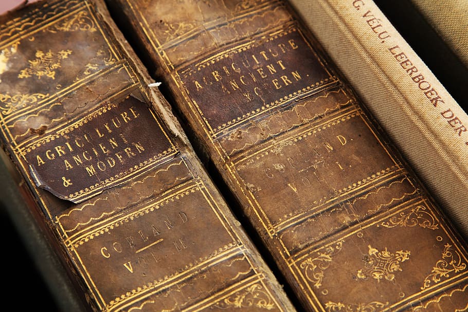 two Agriculture Ancient & Modern books, age, antique, brown, cover, HD wallpaper