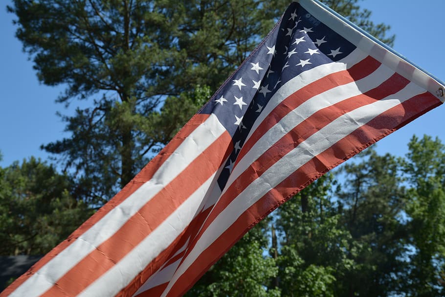 flag, american flag, tree, striped, plant, low angle view, patriotism HD wallpaper