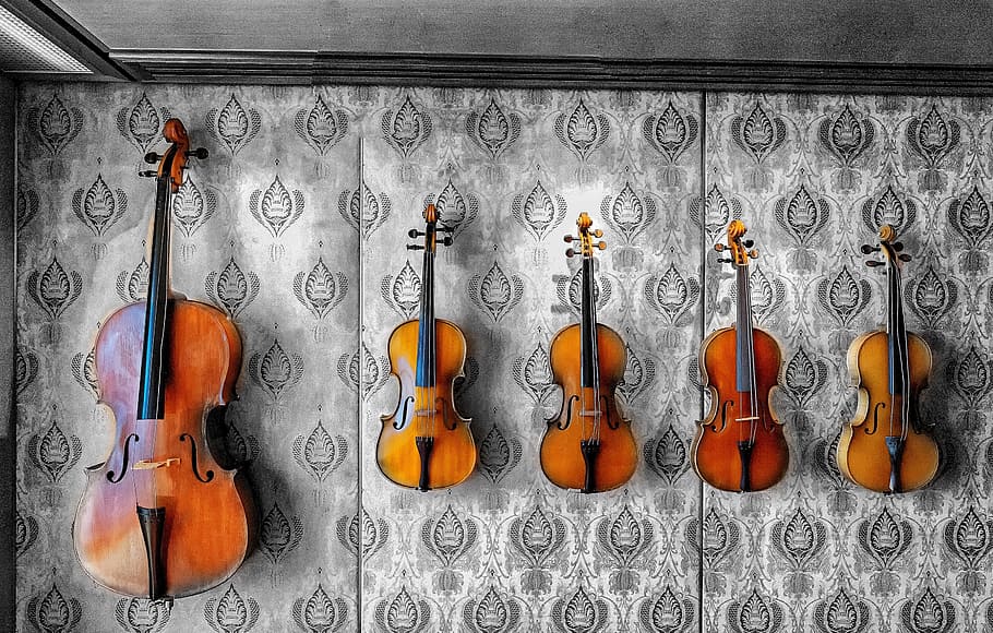 brown violins on wall, Music, Instrument, Musical, fiddle, classical, HD wallpaper