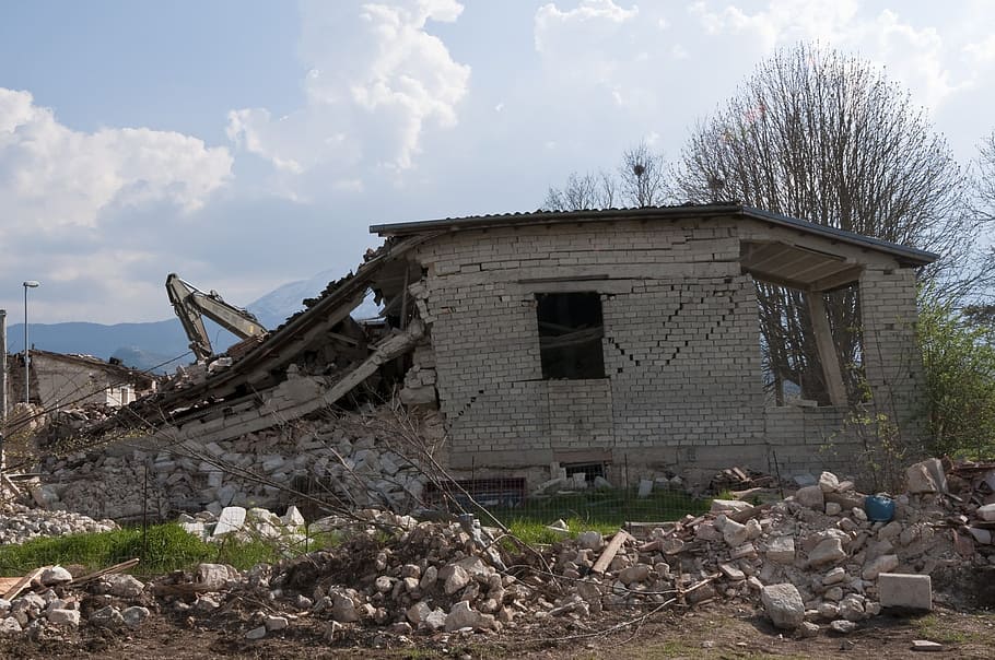 grey concrete wall near bare tree, earthquake, rubble, collapse HD wallpaper