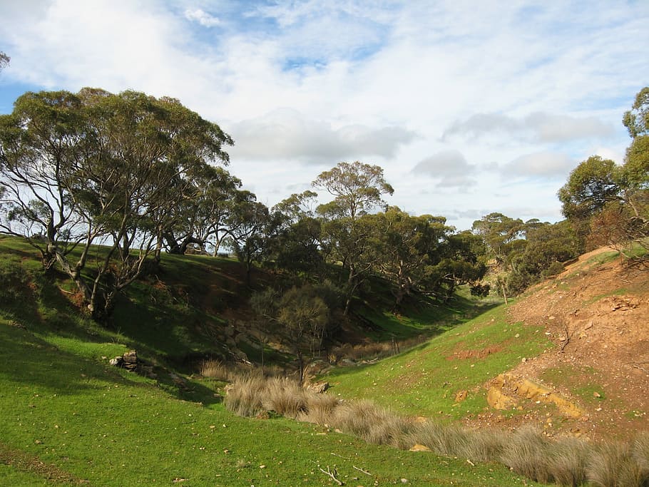Australia, Landscape, Clouds, Trees, sky, nature, outside, hills HD wallpaper