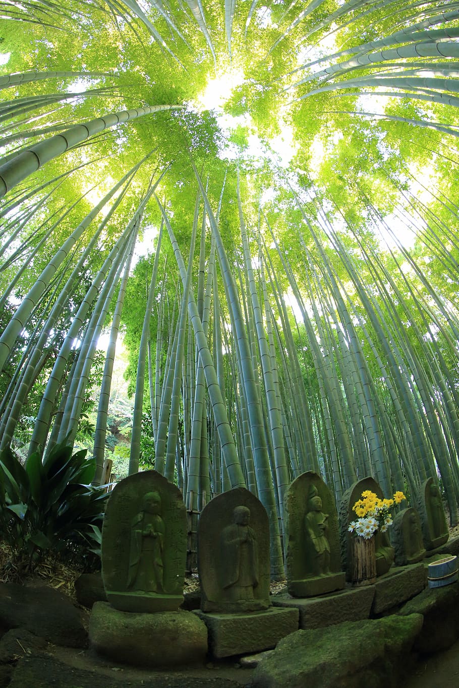 low-angle photography of statuettes on forest, life, death, inspire, HD wallpaper