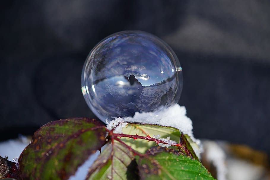 soap bubble, winter, ball, wintry, cold, frozen, frost, reflection HD wallpaper