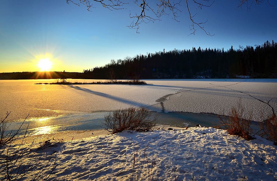 snow covered land beside forest, winter landscape, sunset, twilight HD wallpaper