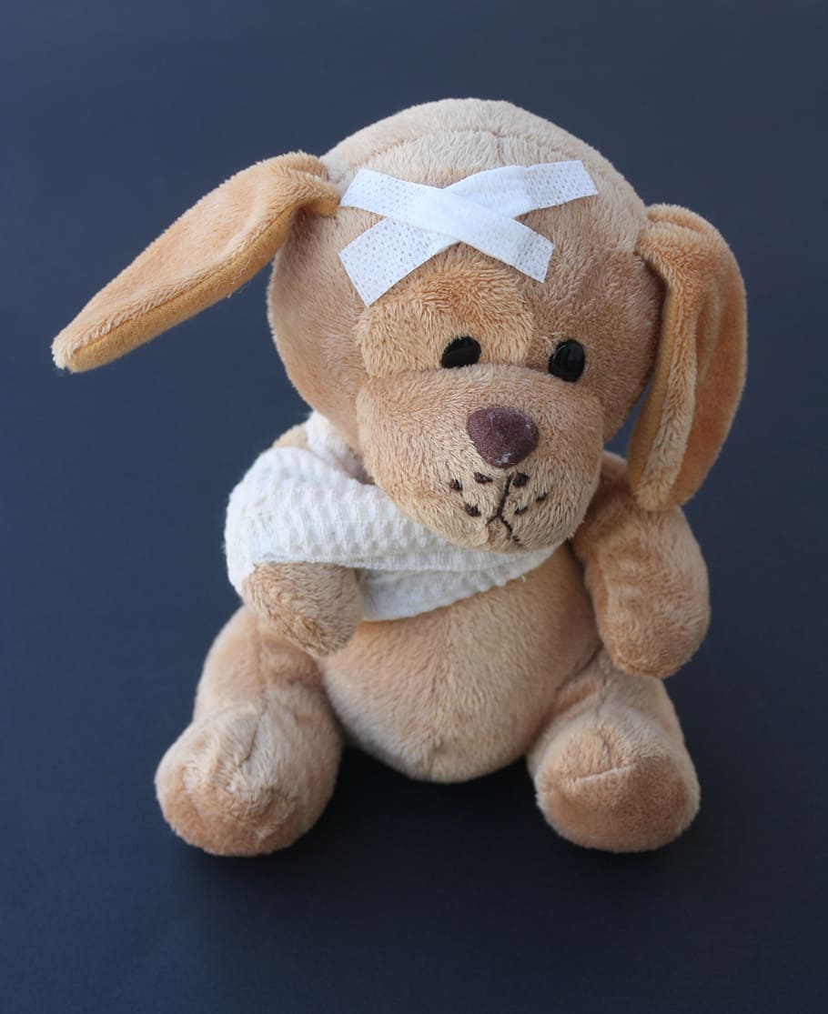 brown puppy with bandage plush toy, teddy, broken, arm, association HD wallpaper