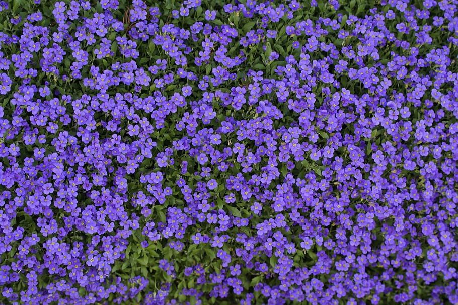 blue pillow, thread, bloom, spring, background, texture, structure HD wallpaper