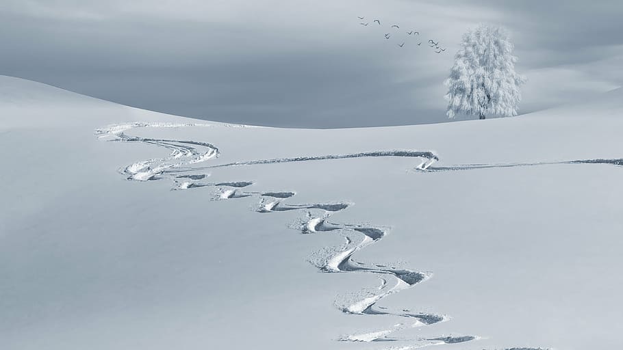 snow pave photo, wintry, mountain, snow landscape, winter, cold HD wallpaper