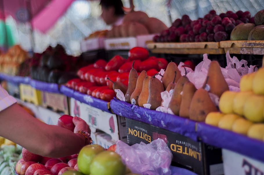 person holding apple, Fruit, Market, Food, Fresh, Healthy, organic, HD wallpaper