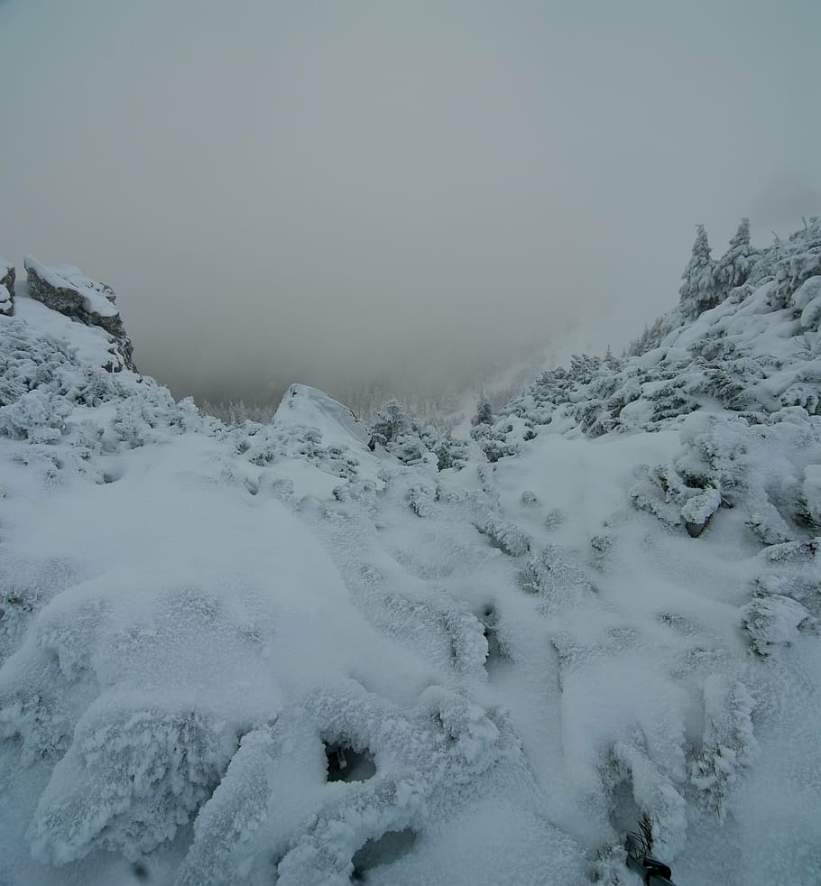 winter, mountain, snow, cold, white, frost, frozen, scenery HD wallpaper