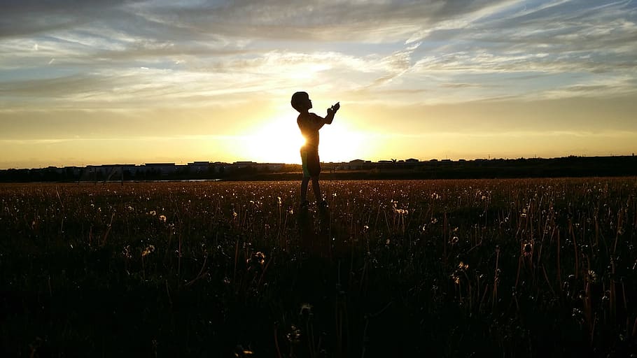 silhouette photo of a person lifting his hand, silhouette photo of person standing on grass field HD wallpaper