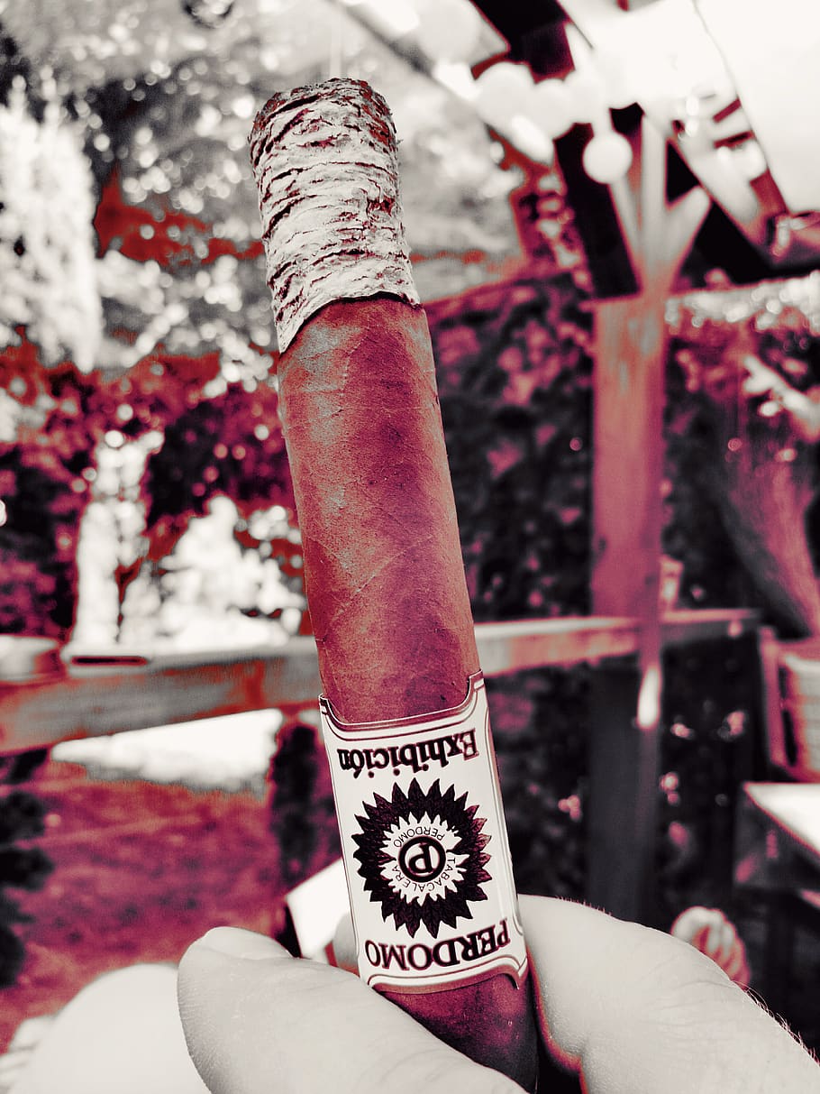 cigar, enjoy, live, human hand, human body part, focus on foreground HD wallpaper