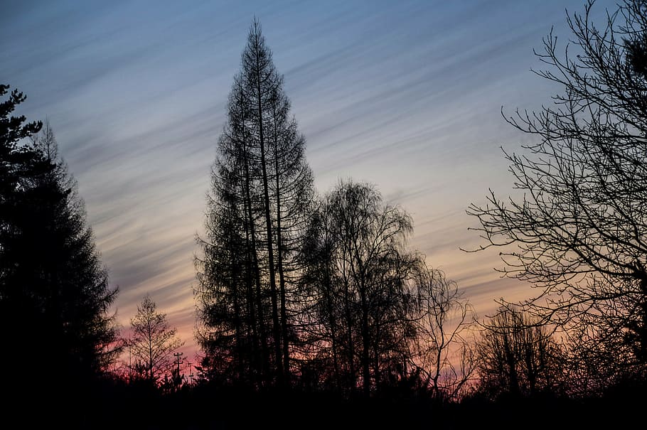 sunset, sky, clouds, west, light, the backlight, landscape HD wallpaper