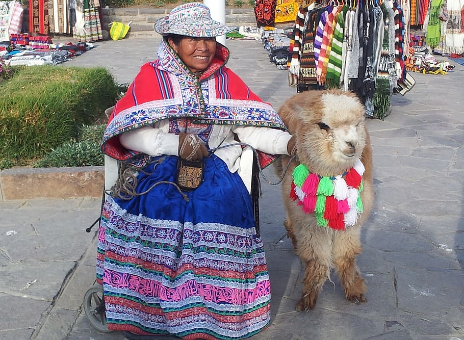 woman holding llama, peru, chivay, peruvian, alpaca, decorated HD wallpaper