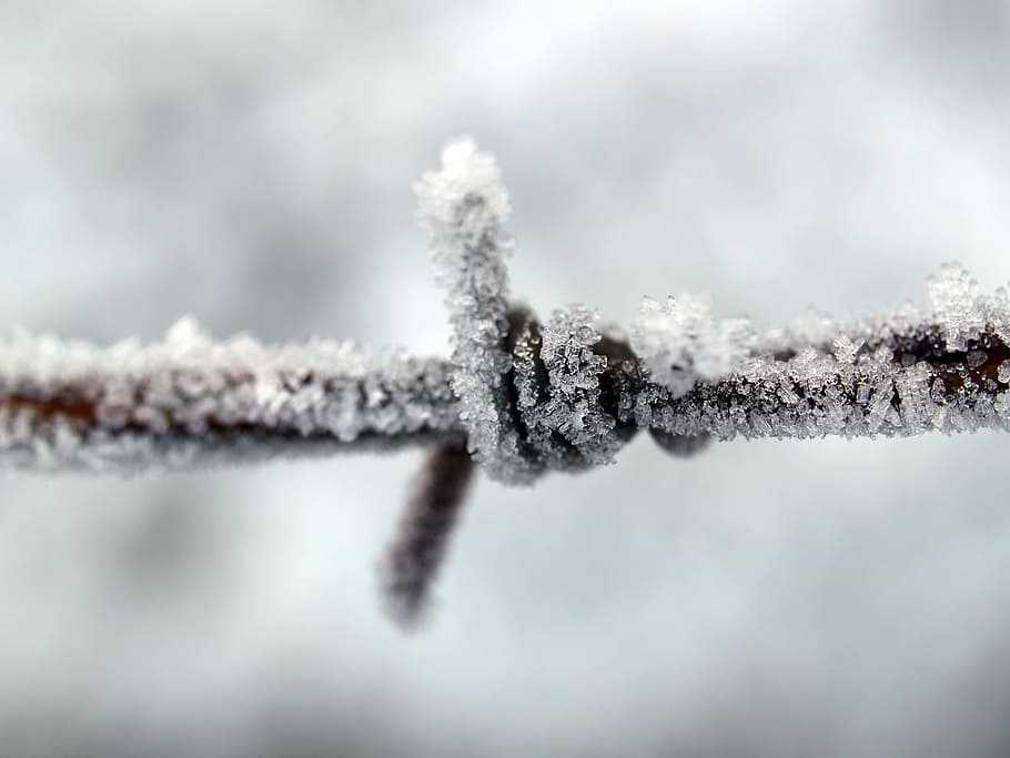 fence, barbed wire, metal, thorn, demarcation, old, rusted HD wallpaper