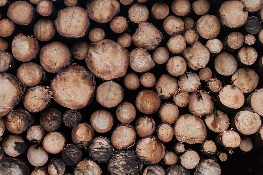 brown tree log lot, wood, background, pile, many, stack, gap HD wallpaper