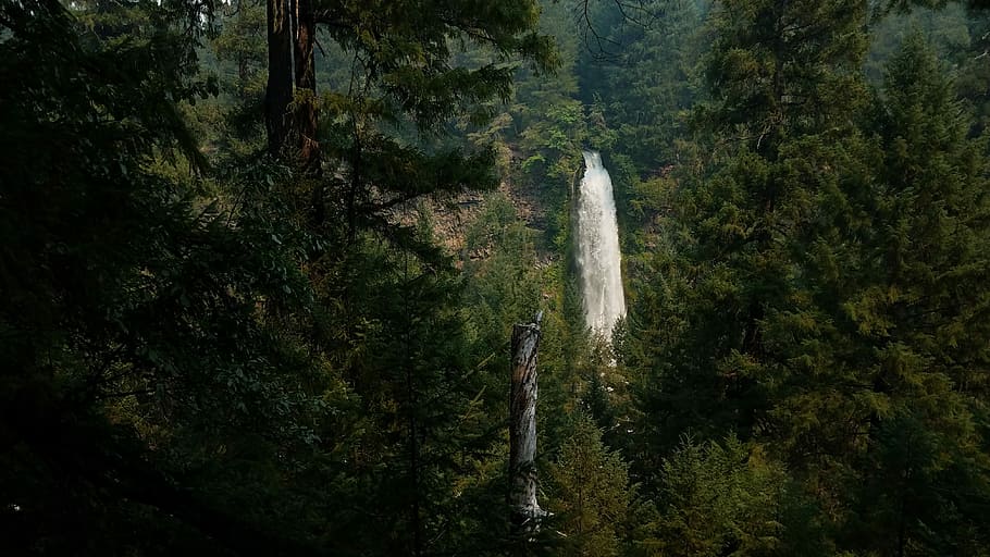 aerial view of waterfalls, time-lapsed photography of waterfalls surrounded by trees HD wallpaper