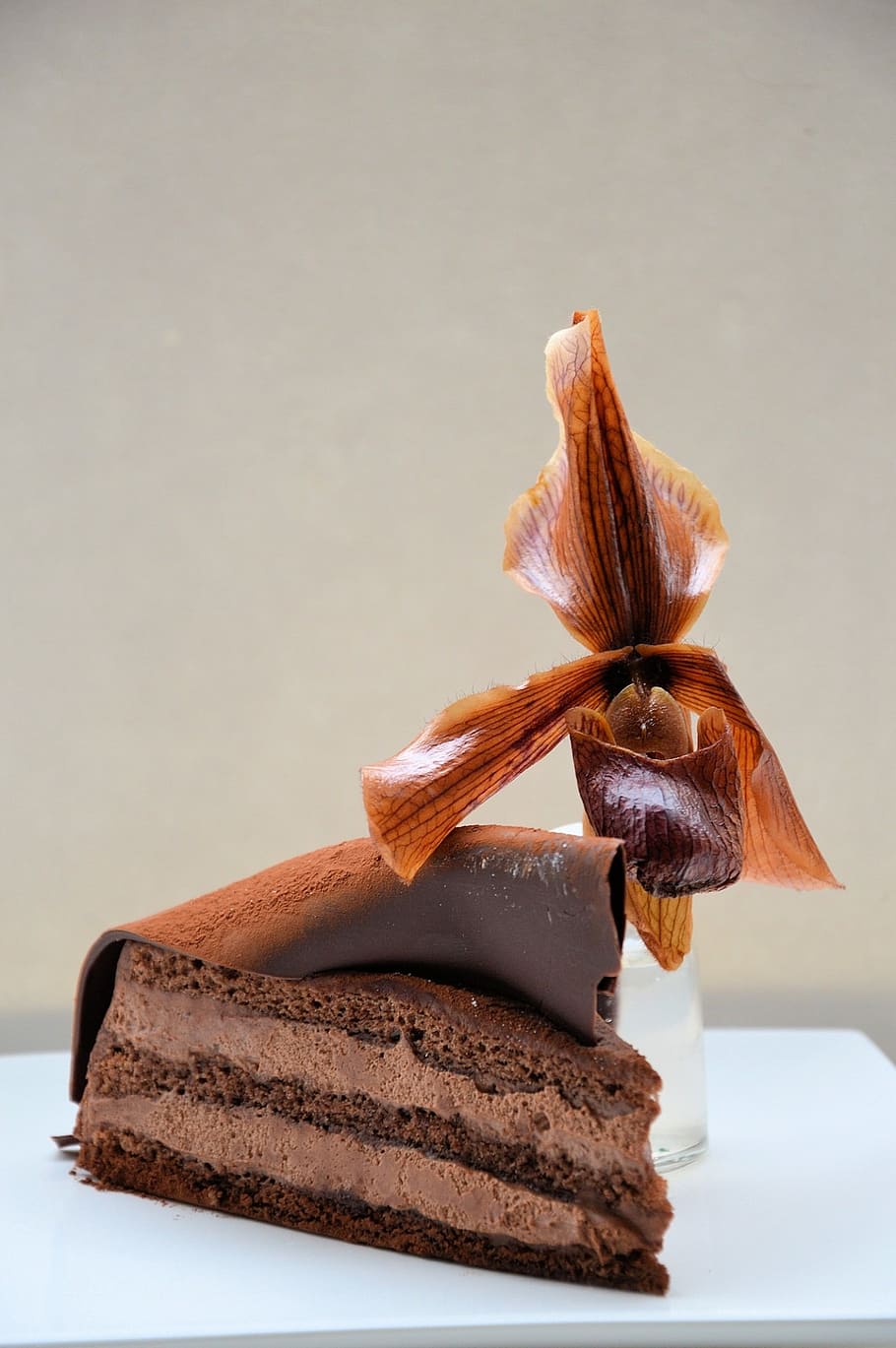 flower, passion, chocolate, cake, food, sweet, dessert, delicious HD wallpaper