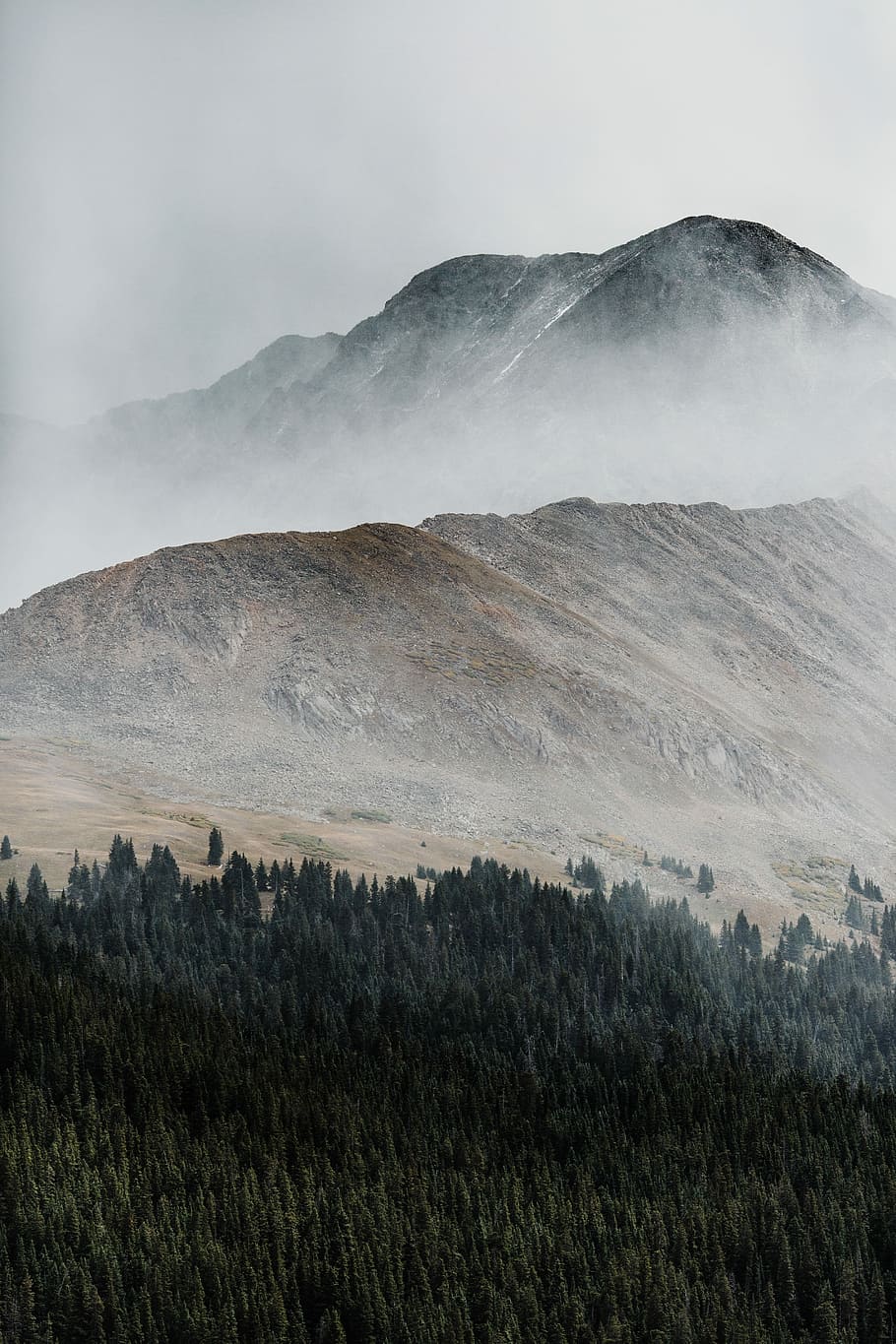 pine trees and rocky mountain surrounded with fog, landscape photography of mountain HD wallpaper