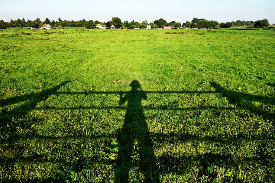 green grass, shadow, person, sunlight, field, landscape, skyline HD wallpaper