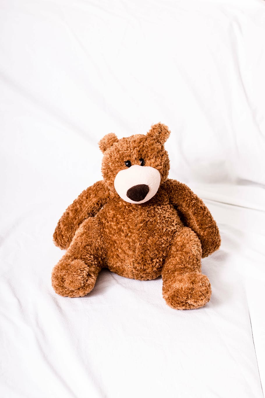 teddy, teddy bear, soft toy, stuffed animals, bears, sweet HD wallpaper