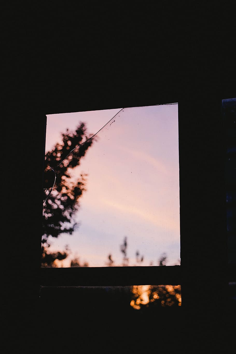 photography of window, untitled, macro shot, window glass, tree HD wallpaper