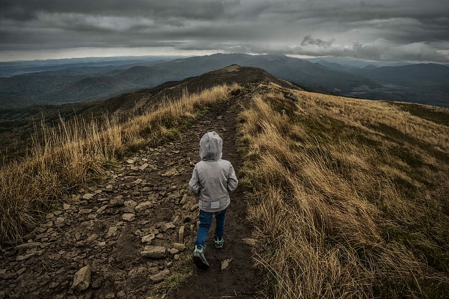 person walking between grass field, person walking on top of mountain HD wallpaper