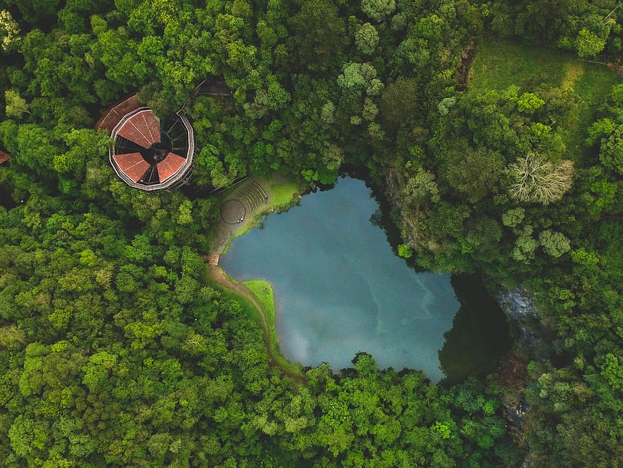 bird's eye photography of body of water and trees, aerial photo of forest and lake HD wallpaper