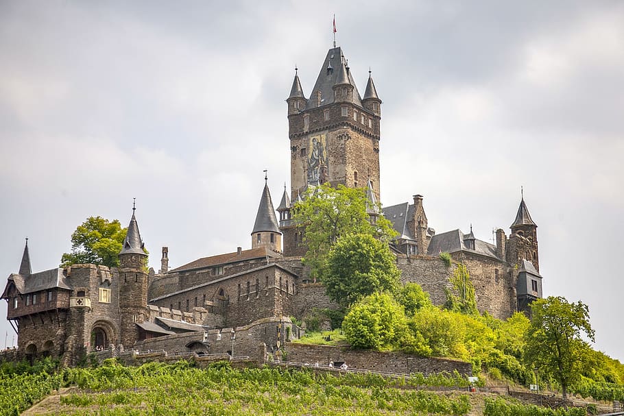 Castle, Mosel, Building, Historically, germany, places of interest HD wallpaper