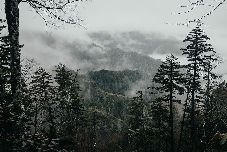 photo of green mountains with fog, foggy mountain at daytime HD wallpaper