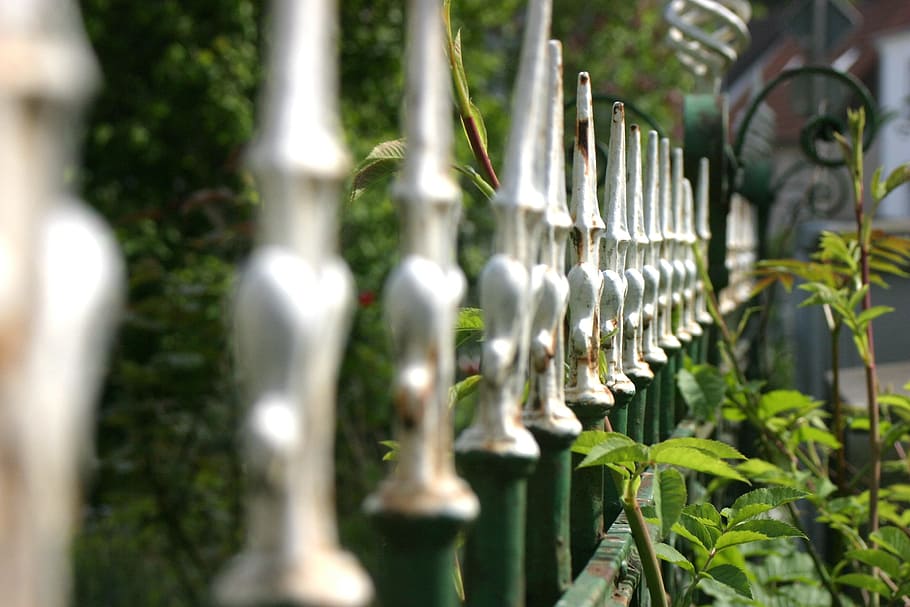 fence, metal, old, iron, in a row, plant, growth, nature, green color HD wallpaper