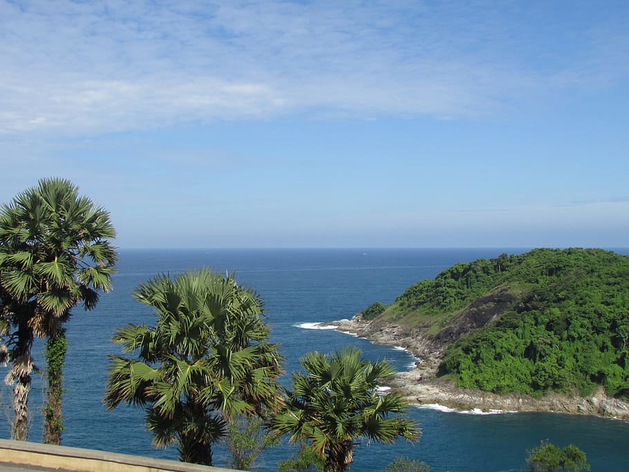 beach, tree, palm tree, palm trees, tropical, sea, ocean, sky HD wallpaper