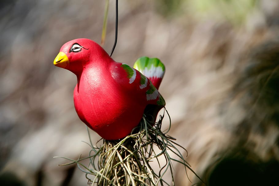 bird, close, ceramic, toys, red, children, funny, figure, play HD wallpaper