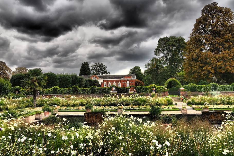 kensington palace, london, the garden of diana, white garden, HD wallpaper