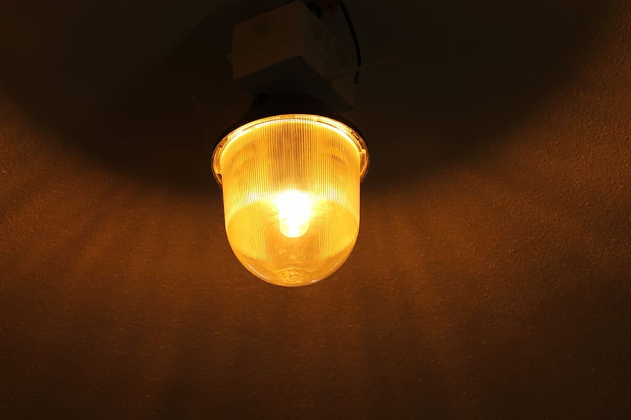 Replacement Lamp, The Light Bulb, lighting, clearly, shine HD wallpaper