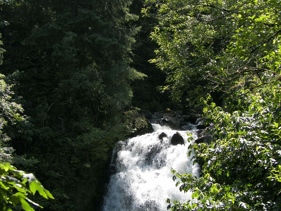 waterfall, water-fall, nature, river, natural, flowing, scenic HD wallpaper