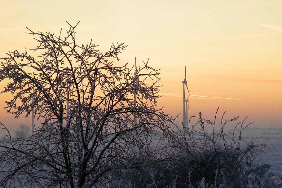 Sunrise, Winter, Impressions, Wintry, winter impressions, snow HD wallpaper