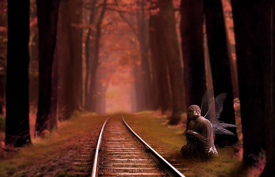 fairy beside train rail surrounded of tall trees painting, fantasy HD wallpaper