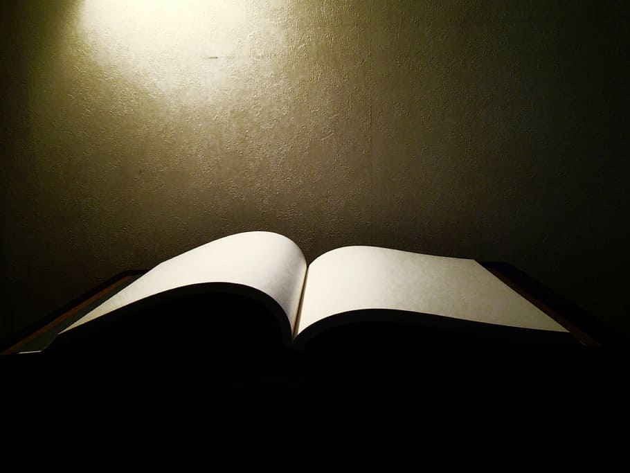 book, page, open, open book, blank page, magic book, light HD wallpaper