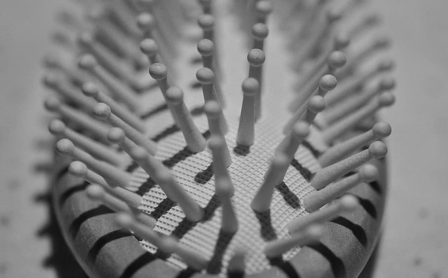 close up, brush, her, close-up, selective focus, no people HD wallpaper
