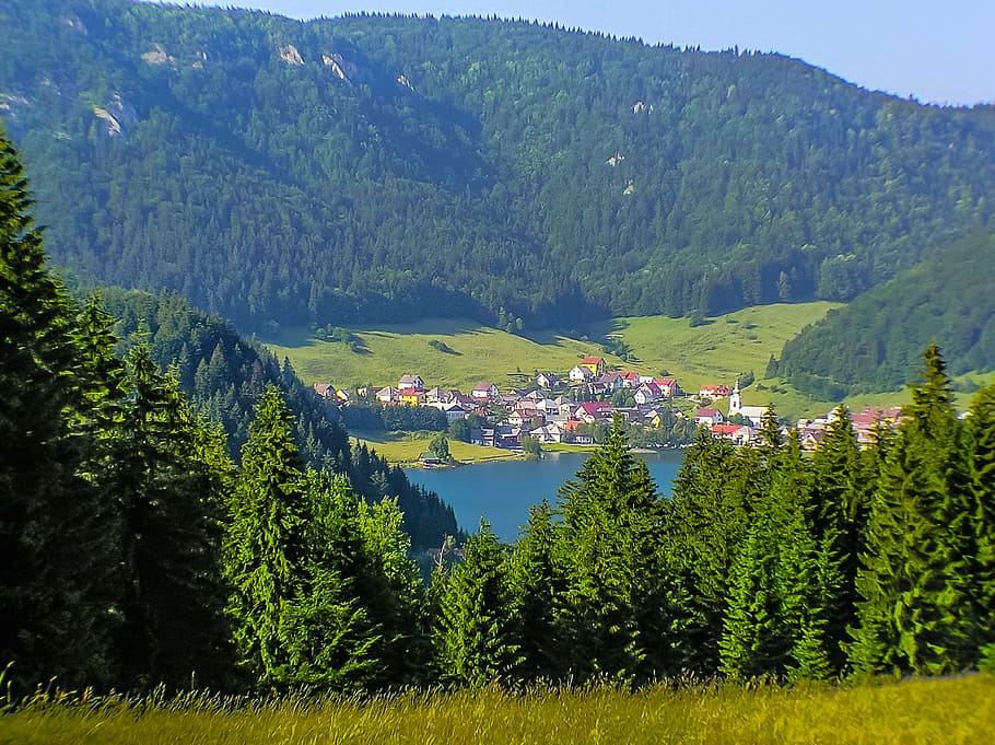 valley, forests, country, mountain, nature, summer, landscape HD wallpaper