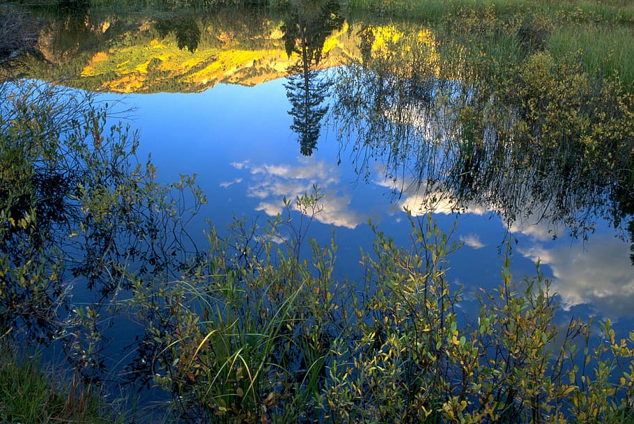 reflection, water, fall, scenic, autumn, colorado, zen, peaceful HD wallpaper