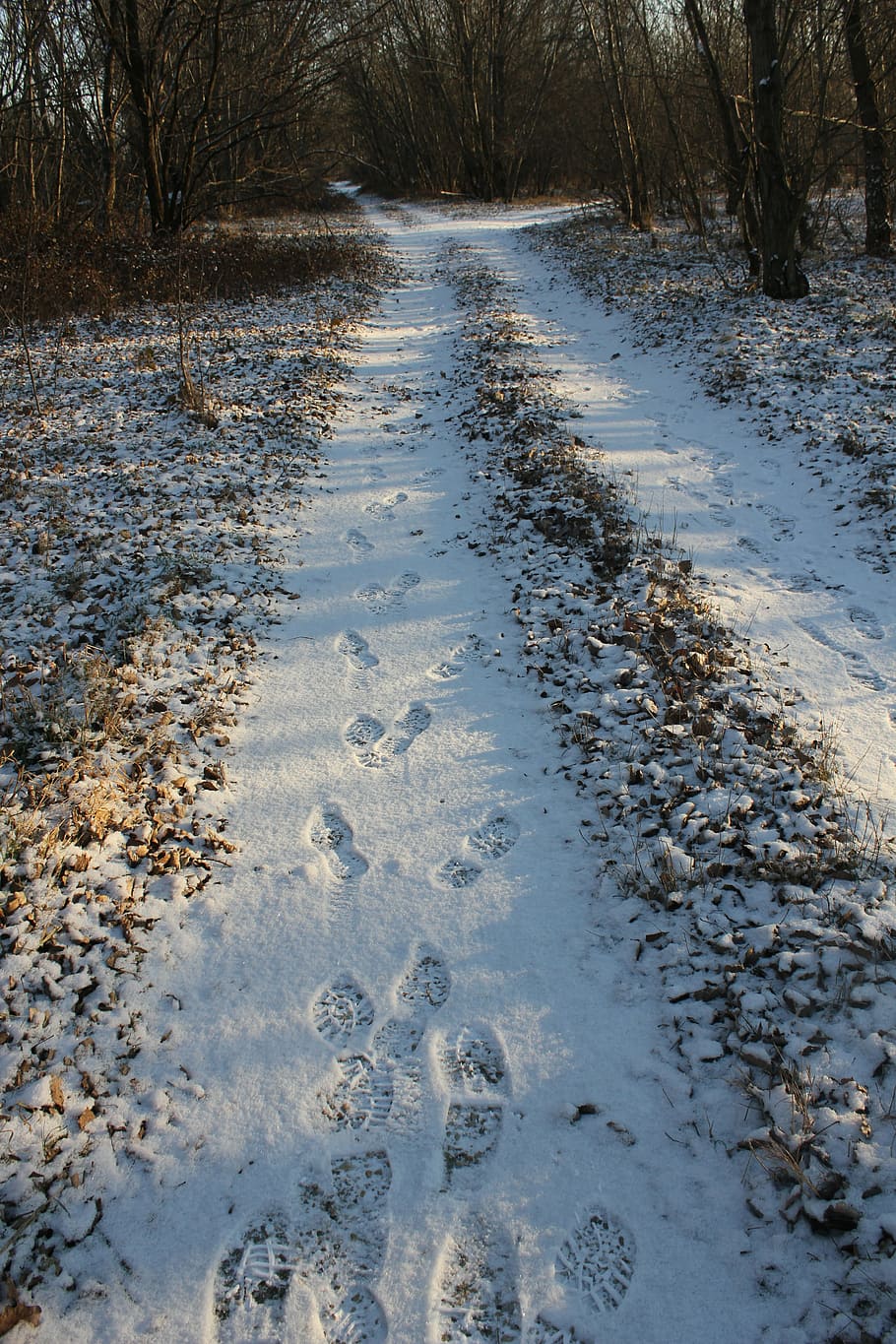 path, tracks, snow, walk, winter, footprint footprint, cold temperature HD wallpaper