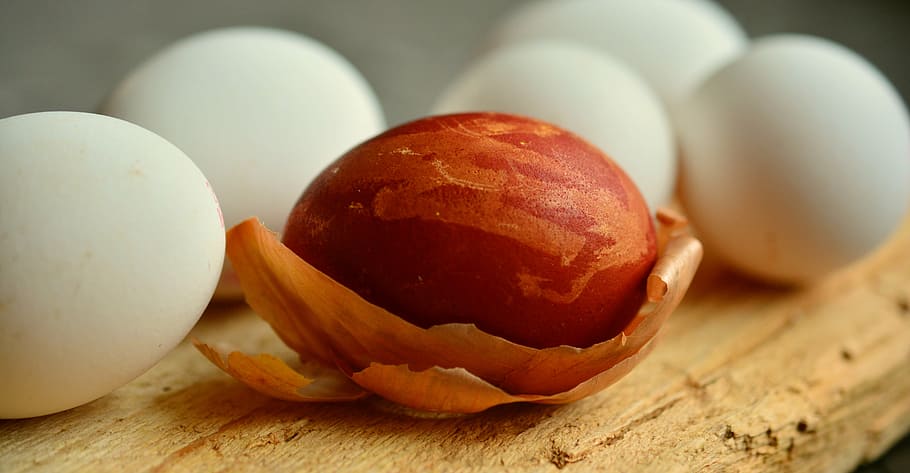 brown nut beside five white eggs, easter egg, onion skins, dye easter eggs HD wallpaper