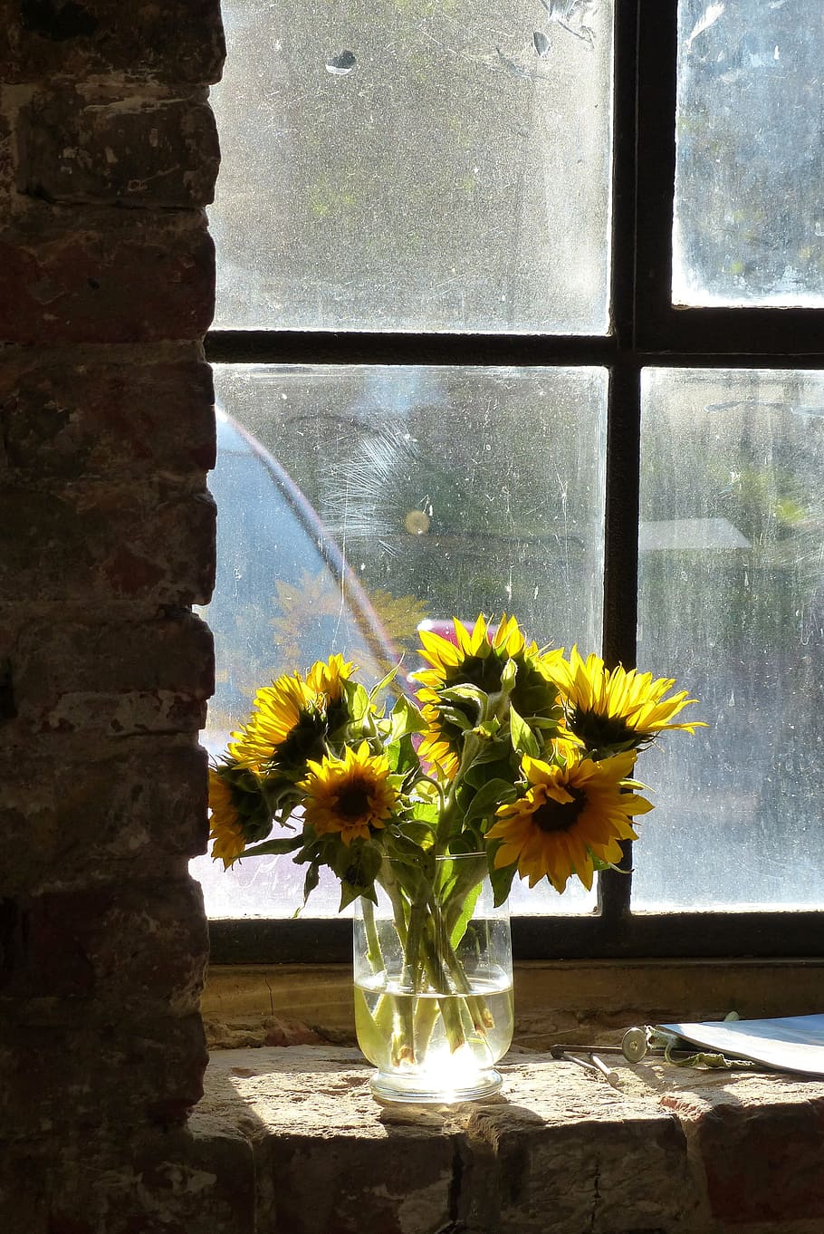 sunflower on clear glass vase, back light, bright, yellow, old brickyard HD wallpaper