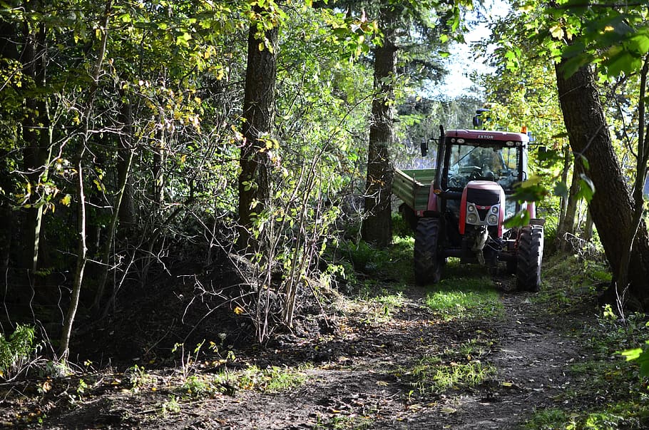tractor, farmer, orka, tree, plant, transportation, forest HD wallpaper