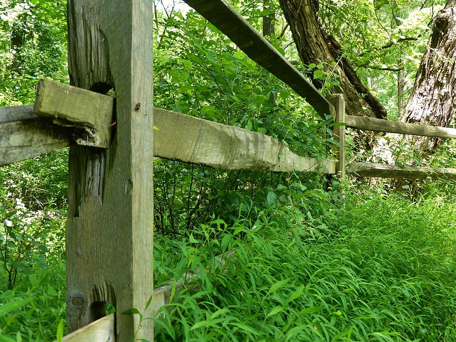 fence, woods, forest, trees, park, grass, nature, wood - Material HD wallpaper