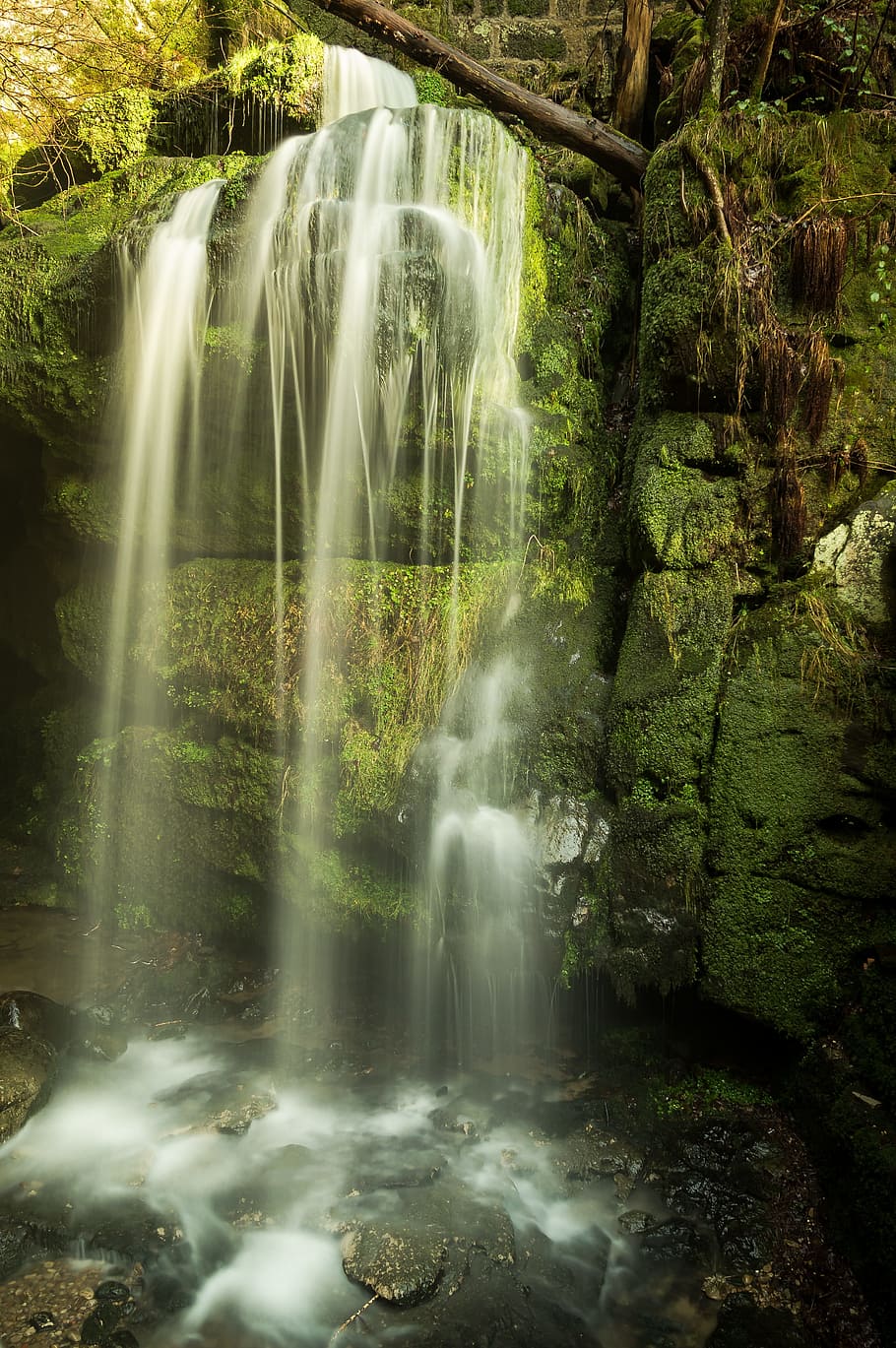 waterfall, waters, nature, river, blackbird case, saxon switzerland HD wallpaper